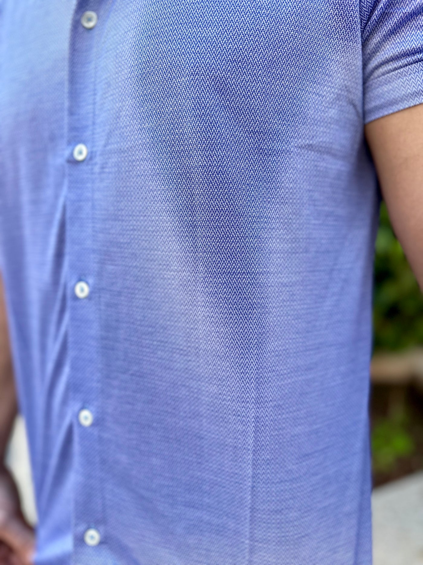 By the Sea Short Sleeve Button Down