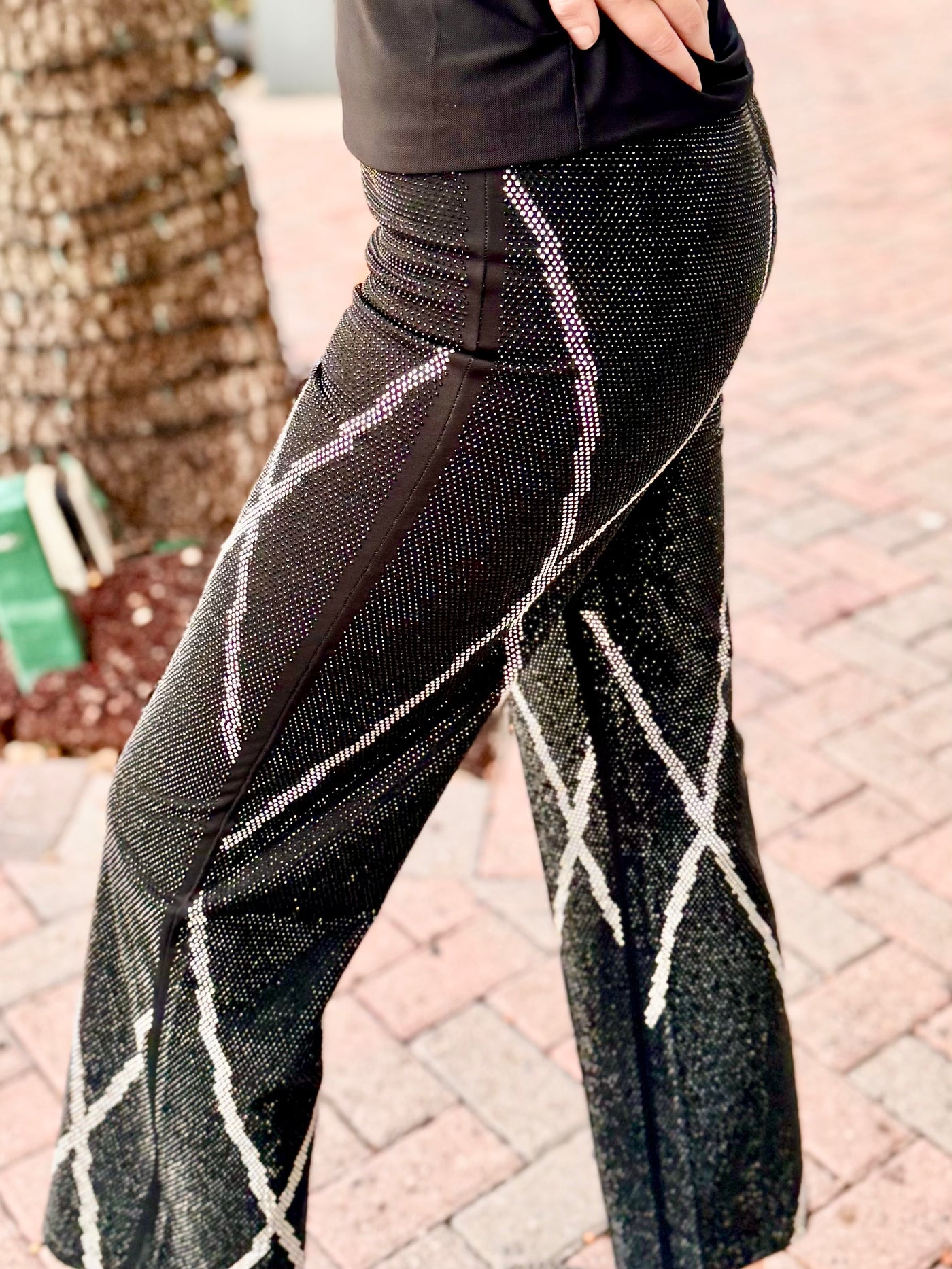 Cityline Sparkle Pants