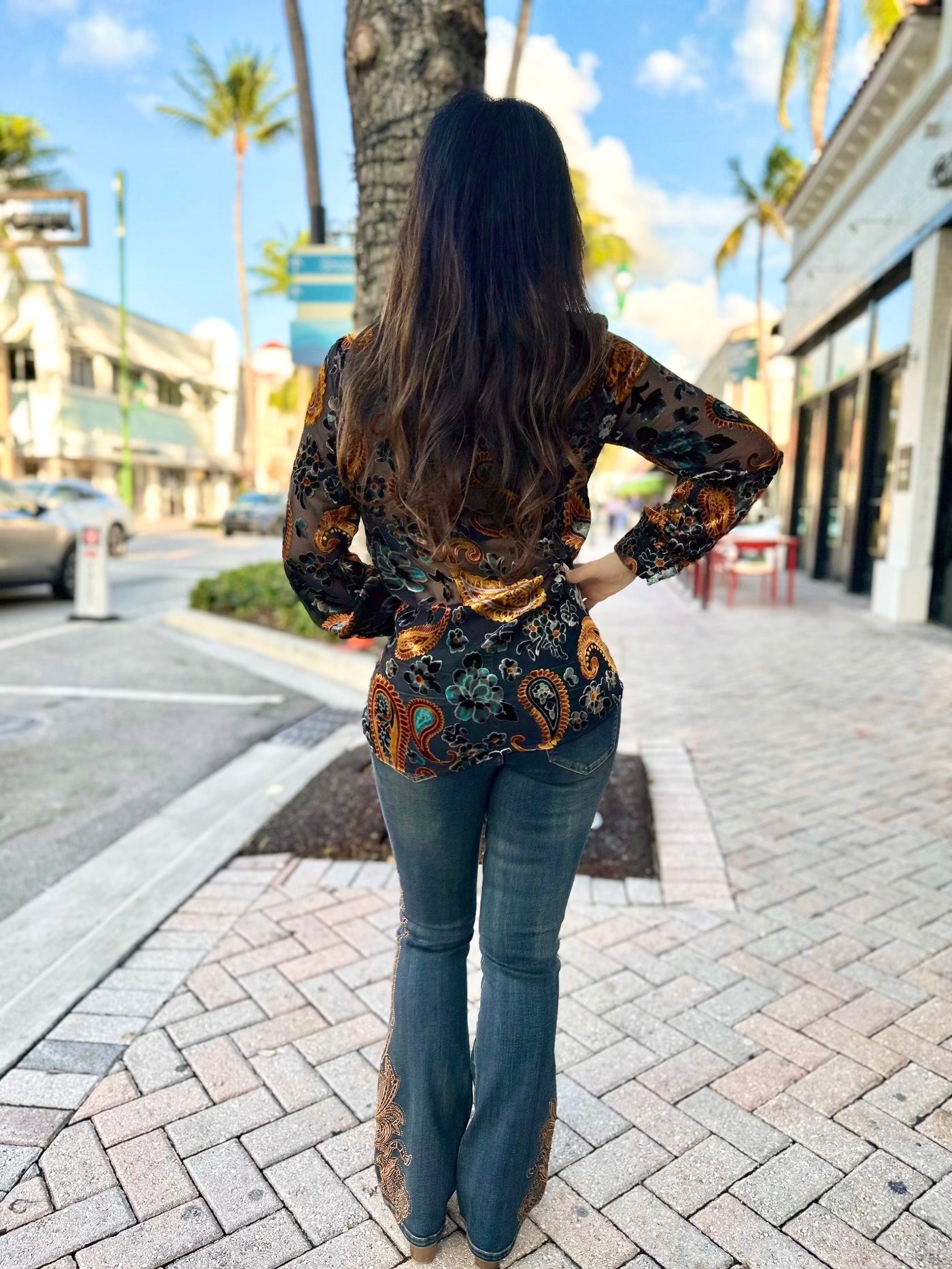 Golden Vine Embroidered Stretch Flare Jeans