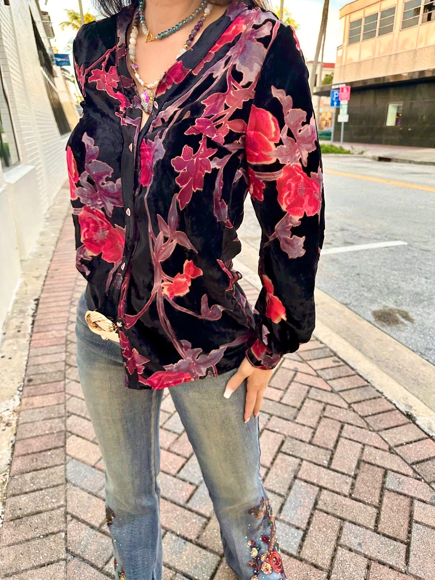 Velour Twilight Button Down Top