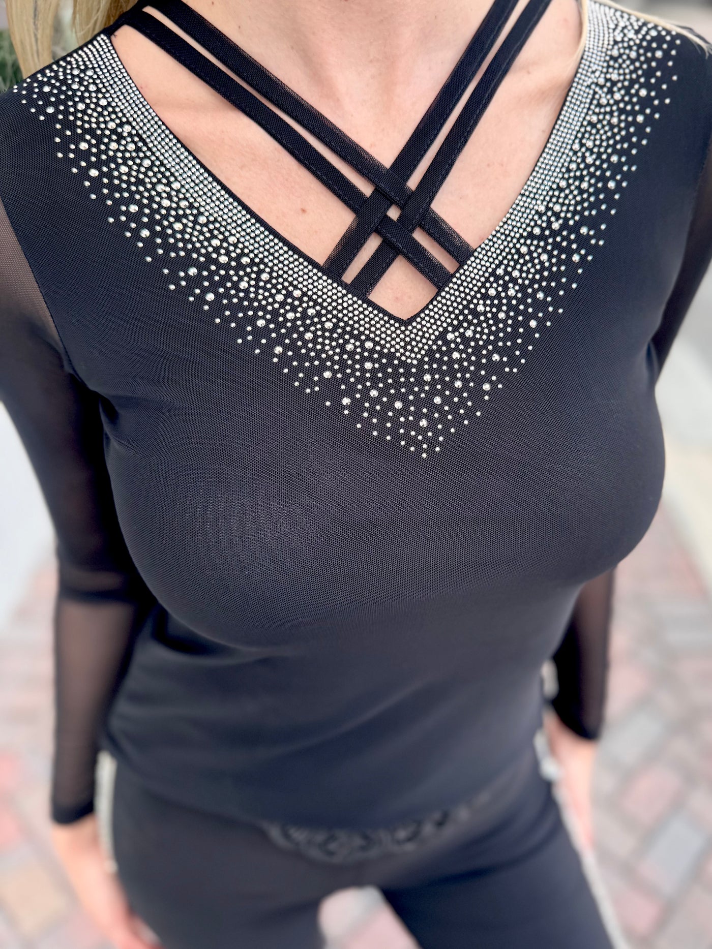 Whisper Veil Mesh Long Sleeve Top