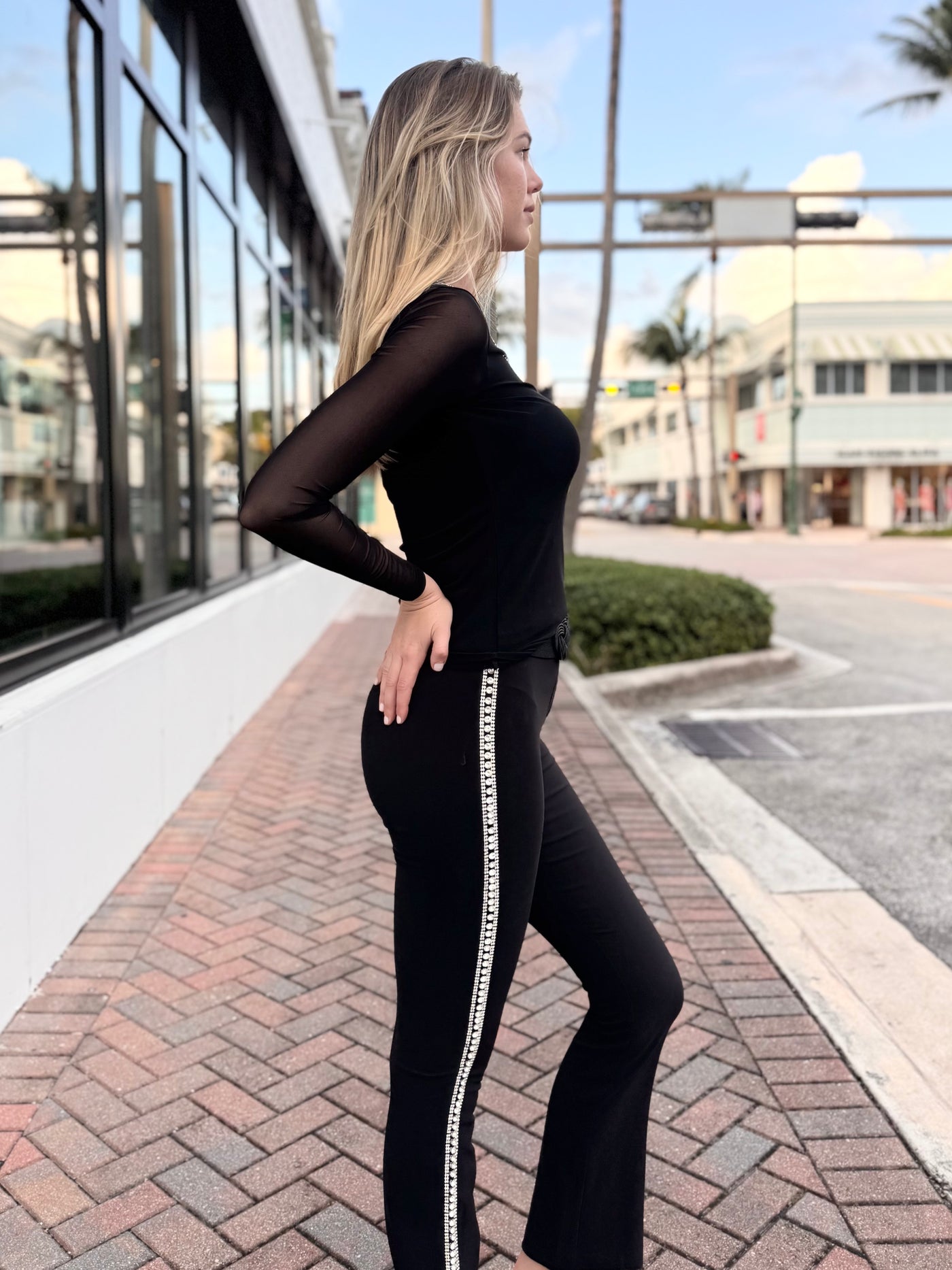 Whisper Veil Mesh Long Sleeve Top